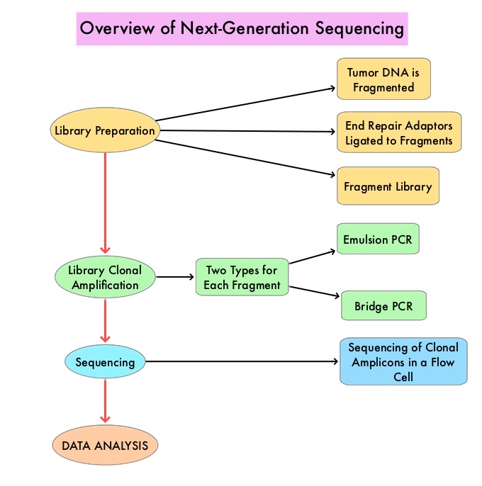 NGS Overview