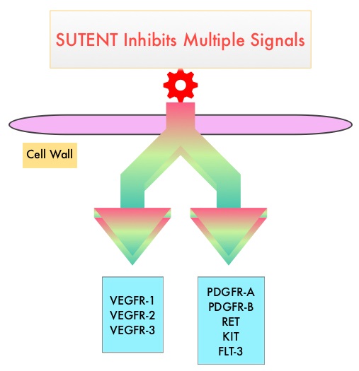 MOA of SUTENT