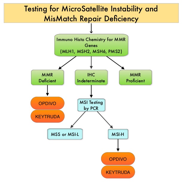 Testing-for-MSI-and-MMR-Deficiency