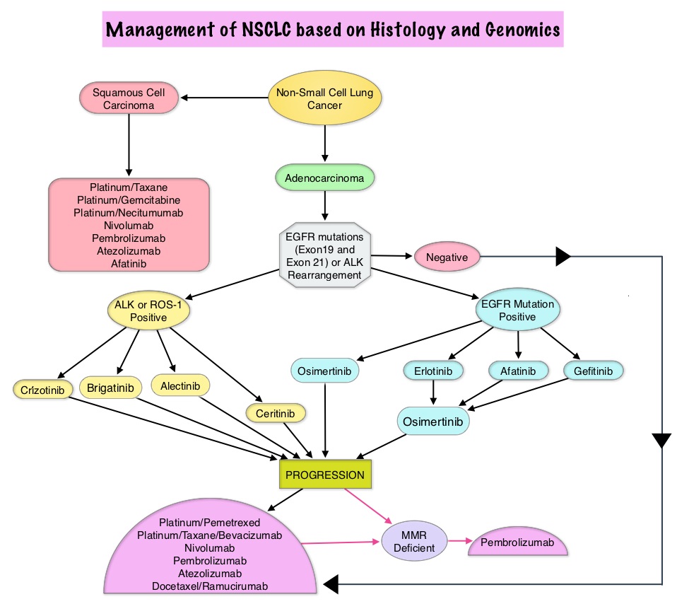 Management-of-NSCLC-based-on-Histology-and-Genomics