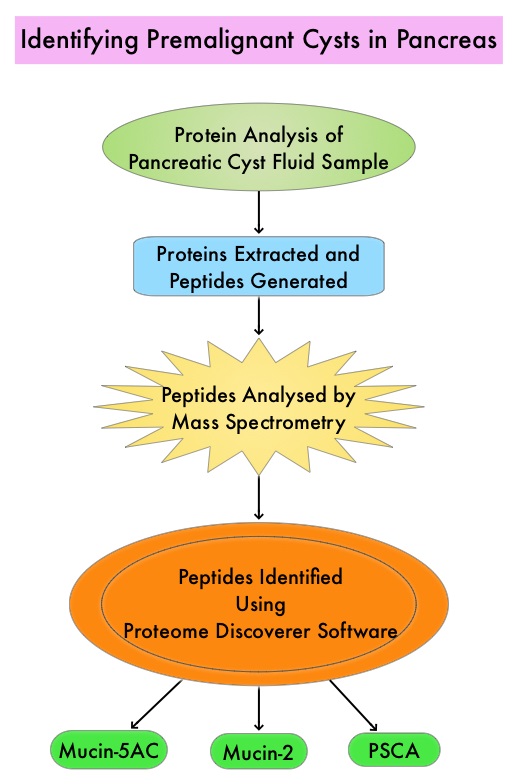 Identifying-Premalignant-Cysts-in-Pancreas