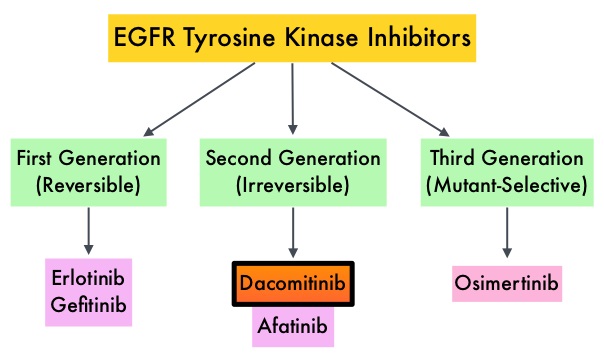 EGFR-Tyrosine-Kinase-Inhibitors