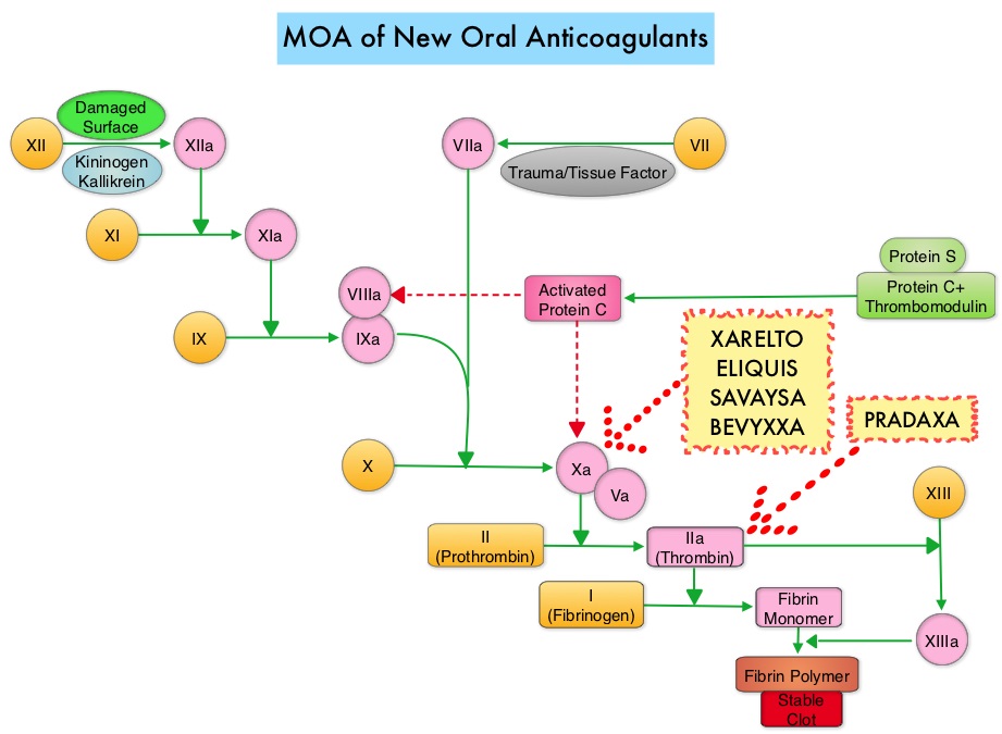 MOA-of-New-Oral-Anticoagulants