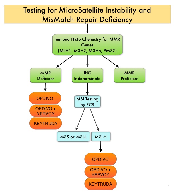 Testing-for-MicroSatellite-Instability-and-MisMatch-Repair-Deficiency