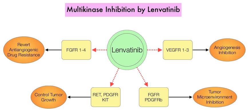Multikinase-Inhibition-by-Lenvatinib