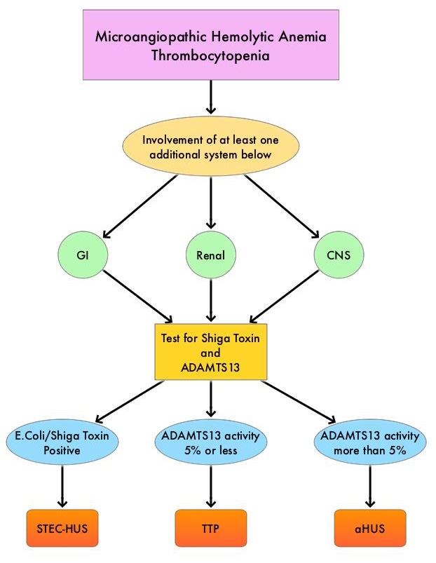 Microangiopathic-Hemolytic-Anemia-Thrombocytopenia