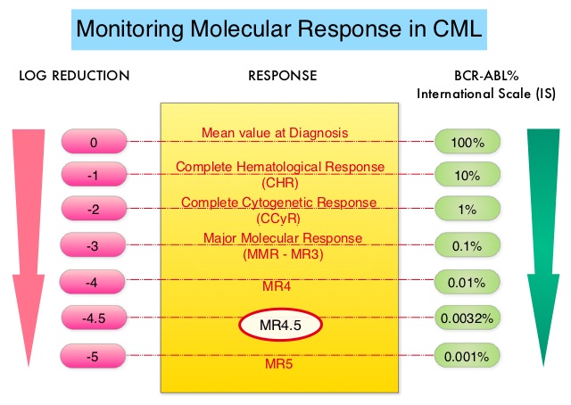 Monitoring-Molecular-Response-in-CML