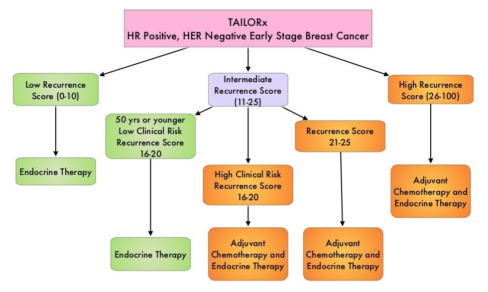 TAILORx-HR-Positive-HER-Negative-Early-Stage-Breast-Cancer