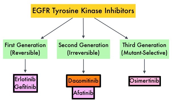 EGFR-Tyrosine-Kinase-Inhibitors